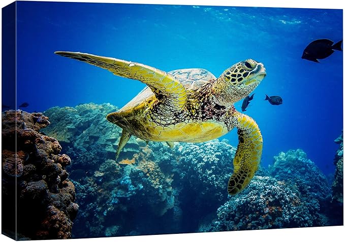 wall26 Canvas Print Wall Art Vibrant Ocean Underwater Swimming Turtle Nature Animals Photography Realism Rustic Scenic Landscape Wilderness Earth Colorful for Living Room, Bedroom, Office - 12"x18"