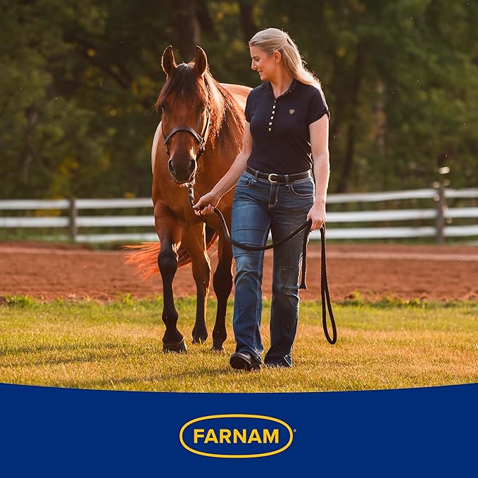 Farnam SuperMask II horse fly mask without ears, extended coverage, protects eyes from insects and debris, adjustable throat latch, Average Horse Size
