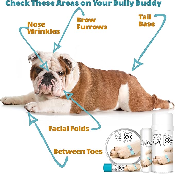 The Blissful Dog Boo Boo Butter for Dog's Discomforts, 8-Ounce