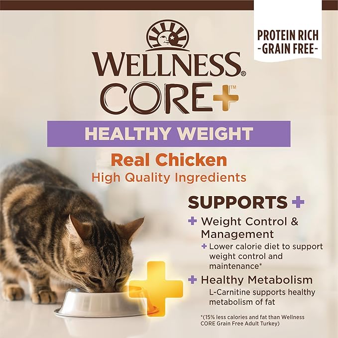 Wellness CORE+ Adult Dry Cat Food for Indoor & Outdoor Cats, Grain Free, Natural, Healthy Weight, Chicken and Chicken Meal (4.75 Pound Bag)