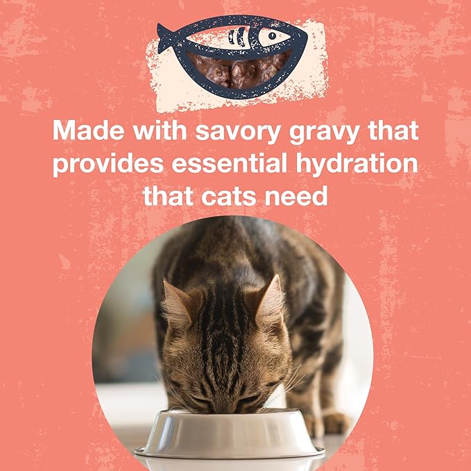 KOHA Poké Bowl Tuna & Salmon Entree in Gravy for Cats, 12-Pack of 3oz Pouches