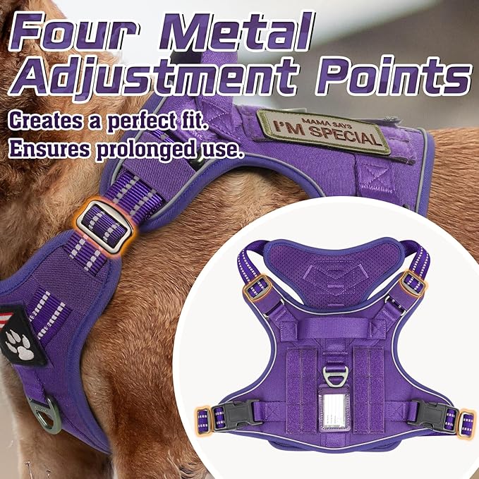 rabbitgoo Tactical Dog Harness for Small Dogs, No Pull Military Service Vest with Handle & Molle, Easy Control for Training Walking, Adjustable Reflective Straps, Purple, S