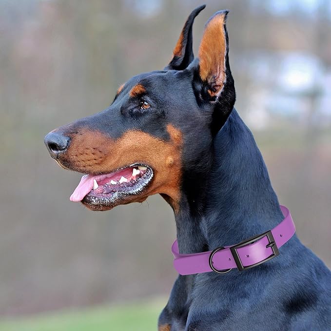 Dogline Biothane Waterproof Dog Collar Strong Coated Nylon Webbing with Black Hardware Odor- Proof for Easy Care Easy to Clean High Performance Fits Small Medium or Large Dogs, Amethyst Purple