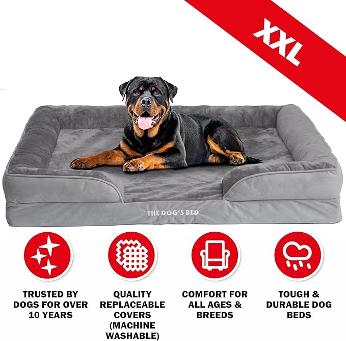 The Dog’s Bed, Orthopedic Standard Foam Waterproof Dog Bed with Standard Support, XXL Silver Grey Plush, Waterproof, Supportive Dog Bed with Replaceable Covers, Veterinary Approved
