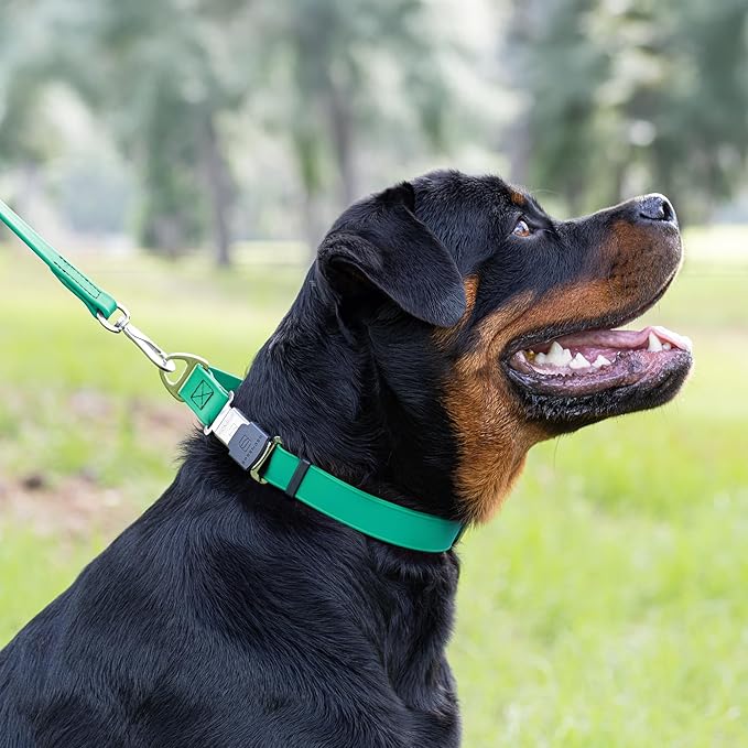 Dogline Biothane Waterproof Dog Collar with Herm Sprenger Black Stainless Steel Quick Release Buckle – Heavy Duty Tactical Durable Collar for Dogs – Comfortable and Safe Pet Collar W 1" L 15-25" Teal