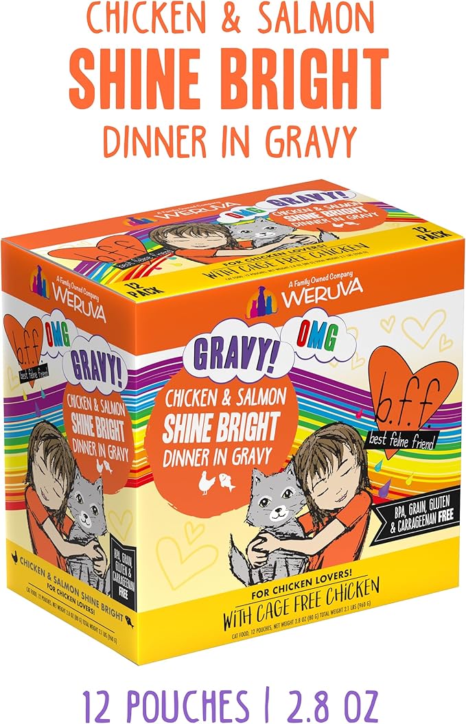 Weruva B.F.F. OMG - Best Feline Friend Oh My Gravy!, Chicken & Salmon Shine Bright with Chicken & Salmon in Gravy, 2.8oz Pouch (Pack of 12)