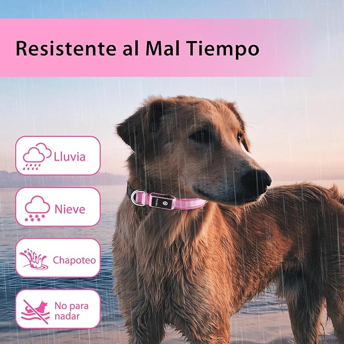 PcEoTllar Light up Dog Collar for Night Walking - LED Dog Collar Light Rechargeable Color Changing, Glow in The Dark Dog Collars Waterproof Glowing Dog Collars for Large Small Medium Dogs