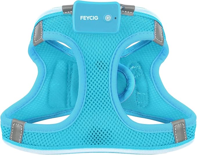 Light Up Dog Harness,Rechargeable LED Dog Harness for Small Medium Large Dogs,Reflective Lighted Safety Vest for Night Walking & Camping,Lightweight & Adjustable,Blue,M
