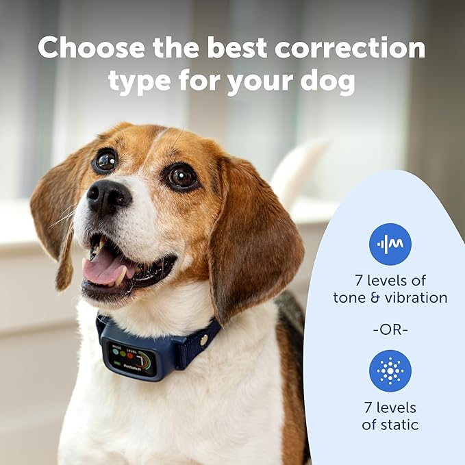 PetSafe Core Digital Dog Bark Collar – Waterproof Anti-Bark Training Device – Tone, Vibration and Static Correction – Illuminated Digital Display – for Small Medium or Large Dogs 8 lb. and Up