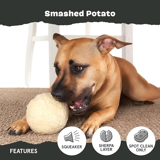 Barkbox Super Chewer Tough Dog Chew Toys for Aggressive Chewers, Plush 2 Toys in 1 (Potato - Small)