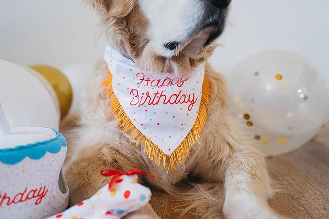 ZippyPaws Dog Birthday Gift Bandana & Bone - Cute Accessories for Girl & Boy Dogs, Holiday Set, Fits Small, Medium, & Large Dogs, Stuffed Plush Toy, Machine Washable Handkerchief - One Size Fits Most