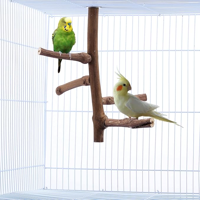 Bird Perch Stand Toy, Natural Grapevine Wood Parrot Perch Bird Cage Branch Accessories for Parakeets Cockatiels Conures Macaws Finches Love Birds(9.8" Length)