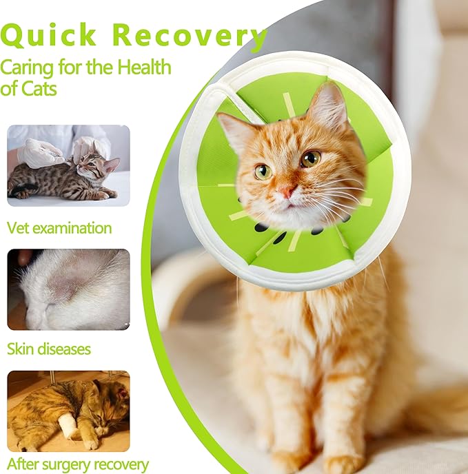 Soft Adjustable Cat Cone Collar, Comfortable Recovery Collar for Cats After Surgery (Kiwifruit, Medium)