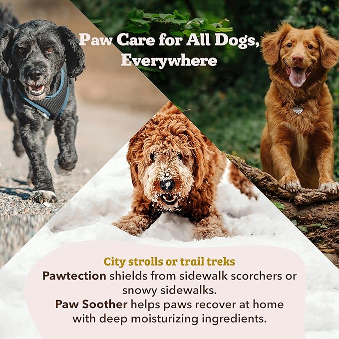 Natural Dog Company Paw Soother Balm & Wax for Dogs, Moisturizing Relief for Dry, Cracked Paws, Lick-Safe,Repairs & Heals, Protects Against Extreme Weather, Coconut Oil & Vitamin E, 1 oz Tin
