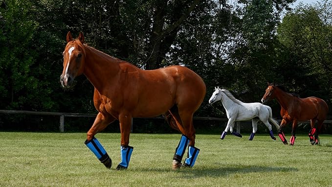 Warrior Fly Boots for Horses - Breathable Mesh Horse Boots for Fly Protection & Leg Comfort - Set of 4 (The Warrior, Neon Orange)