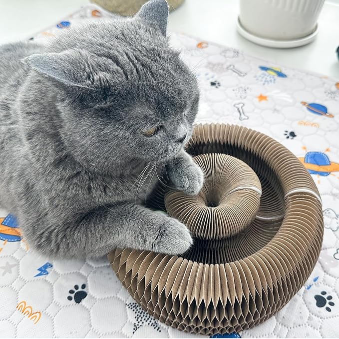 Magic Accordion Cat Scratching Board - Interactive Toy for Bored Indoor Cats, Fun & Durable Cat Toys 2Pack