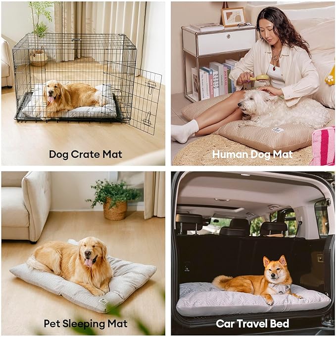 FUNNY FUZZY 35×23 Washable Dog Crate Bed,Orthopedic Cushion Mattress for Large Dogs-Fits 36 Inch Dog Crates, Reversible,Durable & Comfortable Pet Bed,L,Charcoal Grey