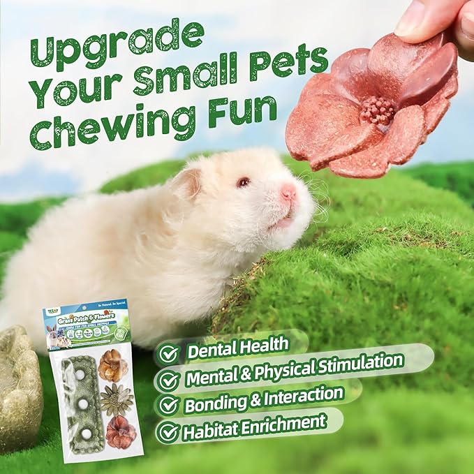 TEEWY 4PCS Guinea Pig Chew Toys, Prevent Teeth Overgrowth, Natural Vegetables and Timothy Grass, Hamster Chew Toys, Guinea Pig Toys, Chinchilla Toys, Grass Patch & Flowers