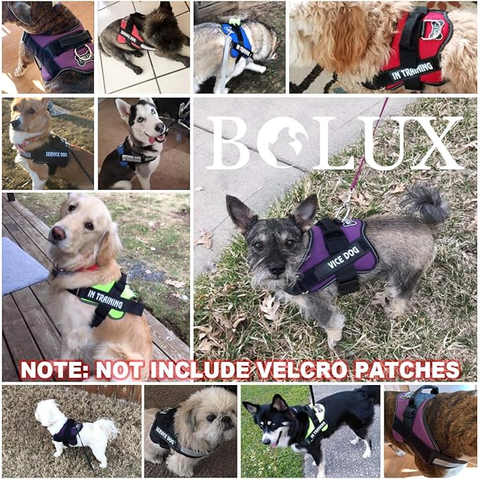 Bolux Dog Harness, No-Pull Reflective Dog Vest, Breathable Adjustable Pet Harness with Handle for Outdoor Walking - No More Pulling, Tugging or Choking (Green, M)