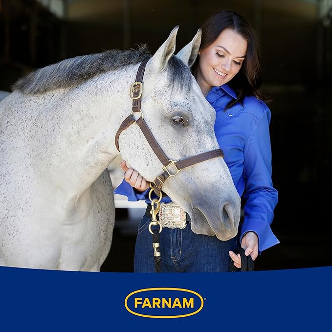 Farnam Hindgut Stabilizer Pellets, Daily Digestive & Immune Supplement for Horses Helps Maintain a Balanced Microbiome for Optimal Digestion