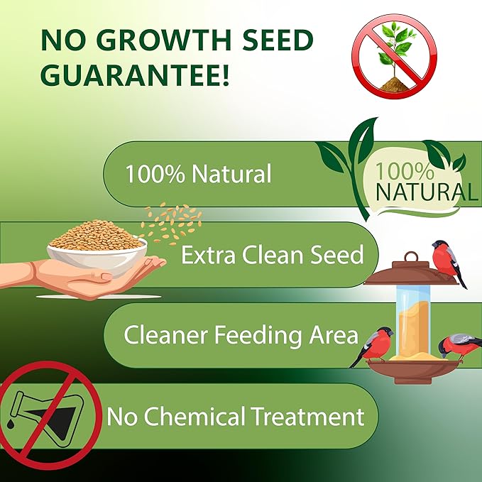 Songbird Blend Bird Food, Mix of Sunflower Seeds/Kernels, Safflower Seeds and Peanuts, 5 Pounds | No Grow Seed | Bird Seed for Wild Birds