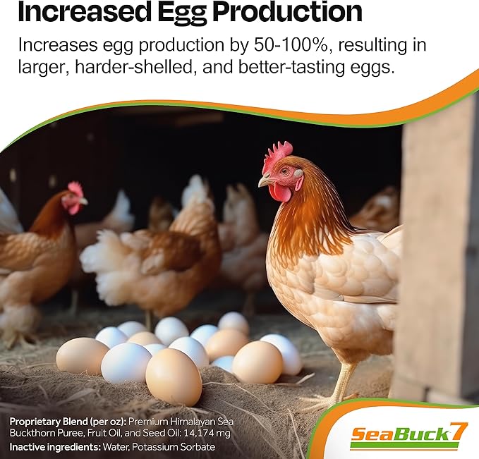 SeaBuck 7 Chicken & Bird Supplement with Sea Buckthorn to Improve Egg Quality (1-Month Supply for 20 Chickens) – Earlier Laying, Egg Production Booster & Higher Quality Eggs