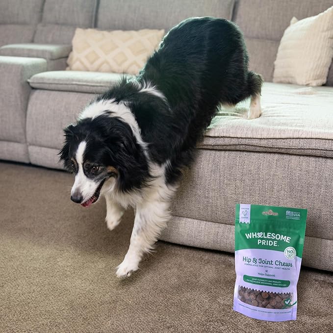 Wholesome Pride Hip & Joint Supplement for Dogs – 90 Soft Chews – Glucosamine, Chondroitin, MSM & Turmeric – Mobility Support & Arthritis Relief for Growing, Adult & Senior Dogs