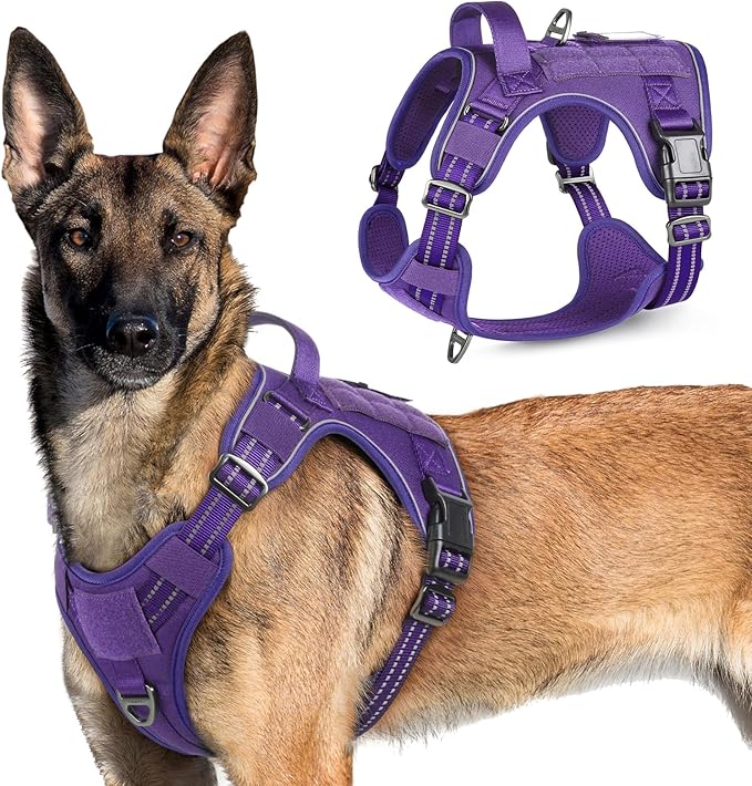 rabbitgoo Tactical Dog Harness for Large Dogs, No Pull Military Service Vest with Handle & Molle, Easy Control for Training Walking, Adjustable Reflective Straps, Purple, XL