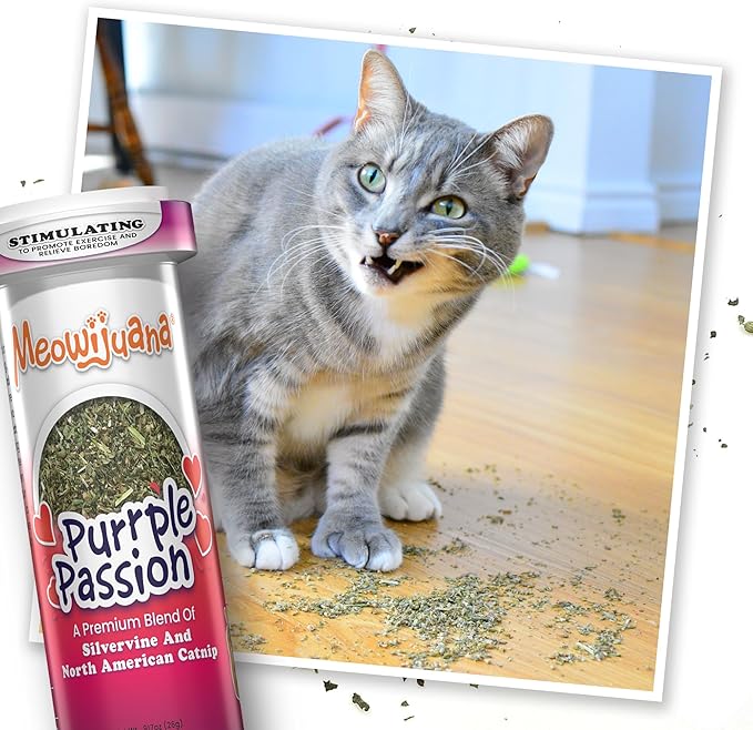 Meowijuana Purrple Passion Cat Nip - Premium Organic Blend of Catnip for Cats & Silvervine, Stimulates Playful Behavior, 26g, Natural Wellness Gift for Cat Lovers