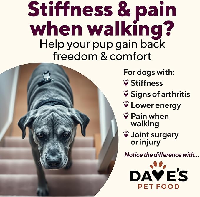 Dave's Pet Food Glucosamine Chondroitin for Dogs, Hip and Joint Support, Gluten-Free, Wet Senior Dog Food, 13.2 oz (Case of 12)