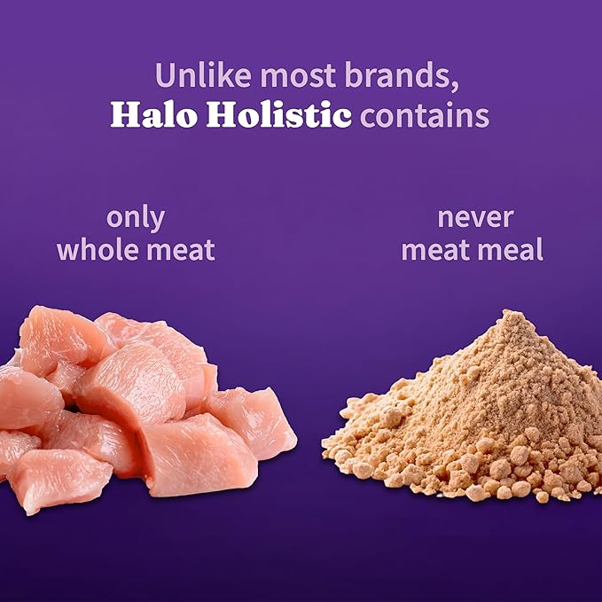 Halo Holistic Cage Free Chicken Cat Food, Healthy Grains Dry Cat Food, Complete Digestive Health, Kibble for Adult Cats, 6 lb Bag