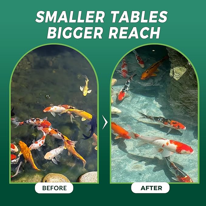 Muck Clear – Natural Pond Sludge Treatment, 250 Tablets for Ponds, Fountains & Bird Baths, Beneficial Bacteria & Enzymes, Chemical-Free & Safe for Fish, Pets & Wildlife