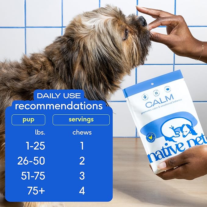 Native Pet Calming Chews for Dogs - Melatonin for Dogs Anxiety Relief - Grain Free All Natural Hemp Calming Treats & L-Theanine Helps Manage Stress & Separation Anxiety - Puppy Sleep Aid - 120 Chews