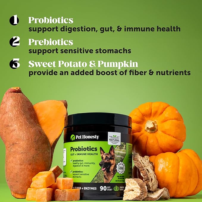 Probiotics for Dogs - Digestive Enzymes Promotes Gut Health, Dog Probiotics for Diarrhea & Bowel Support, Prebiotics for Immunity Health & Itch Relief (Pumpkin 180 ct)