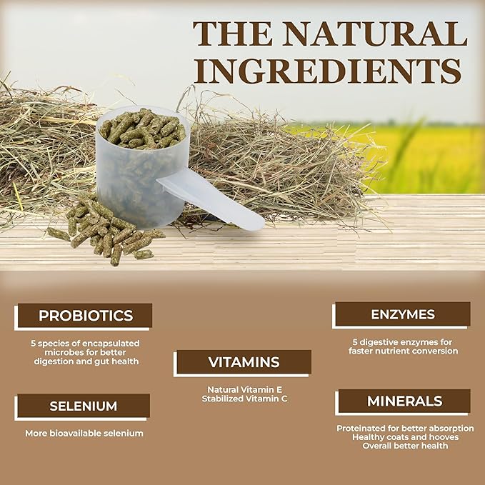 Equerry's Economy Equine Supplement - Horse Probiotics | Supplement for Horses | Horse Vitamins and Minerals Supplement with Enzymes and Selenium,20lb