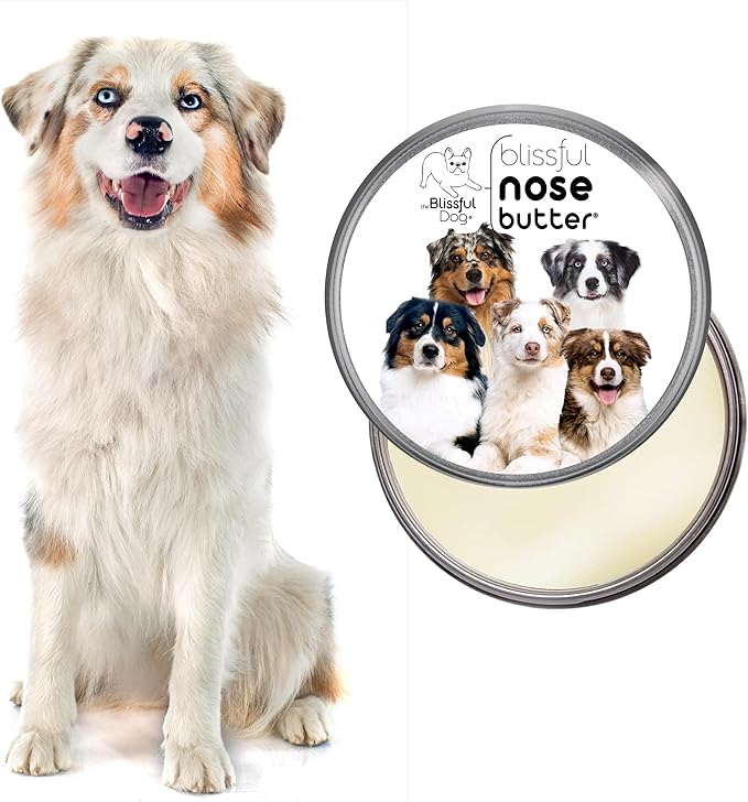 The Blissful Dog Australian Shepherd Nose Butter for Dry, Cracked Skin, Lick-Safe Dog Nose Balm with Moisturizing Shea Butter, Almond, Olive, and Essential Oils, Pet Supplies, Uncented, 2 oz.