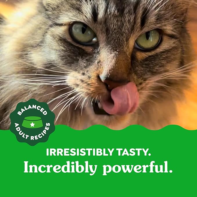 Greenies Feline Adult Dental Cat Treats, Tempting Tuna Flavor, 9.75 oz. Tub