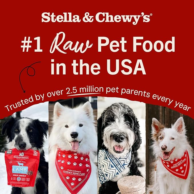 Stella & Chewy's Freeze-Dried Raw Dinner Patties - Chicken Recipe - High Protein Grain-Free Puppy & Dog Food - Perfect For Picky Eaters - 25 oz