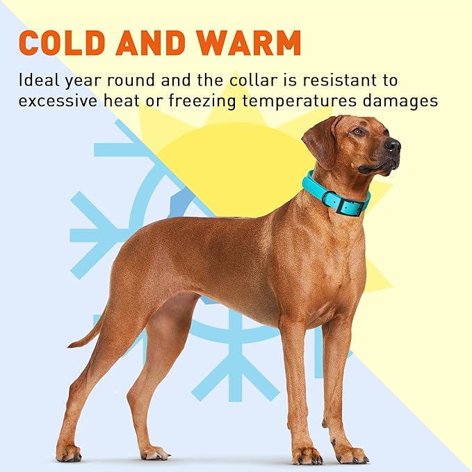 Dogline Biothane Waterproof Dog Collar Strong Coated Nylon Webbing with Black Hardware Odor- Proof for Easy Care Easy to Clean High Performance Fits Small Medium or Large Dogs, Sky Blue