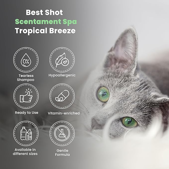 Best Shot Scentament Spa Seasonal Body and Facial Wash, Tearless Shampoo, Hypoallergenic Body Wash, Removes Tear Stains, Tropical Breeze, 16 Oz.