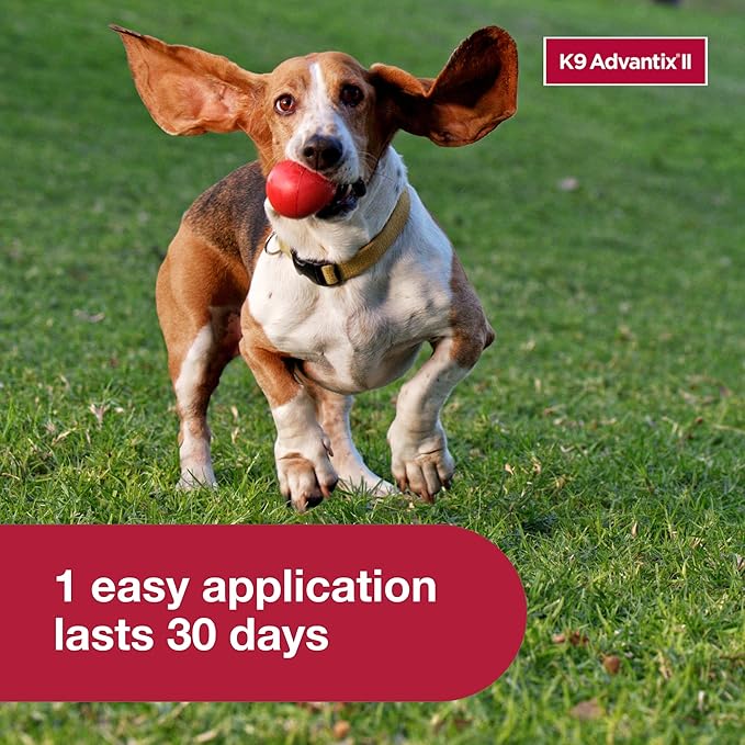 K9 Advantix II Medium Dog Vet-Recommended Flea, Tick & Mosquito Treatment & Prevention | Dogs 11-20 lbs. | 6-Mo Supply (Pack of 2)