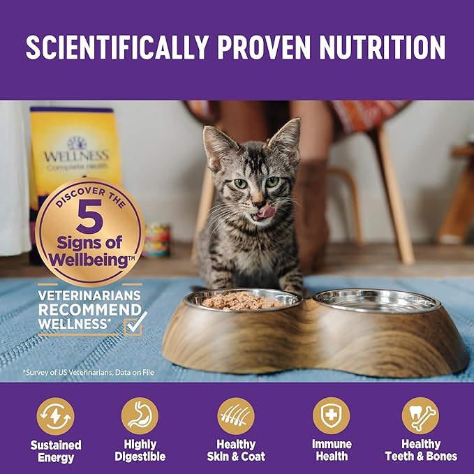 Wellness Complete Health Cubed Adult Wet Cat Food, Natural, Protein-Rich, Grain Free, 3 Ounce, 24 Pack, (Tuna Entrée)