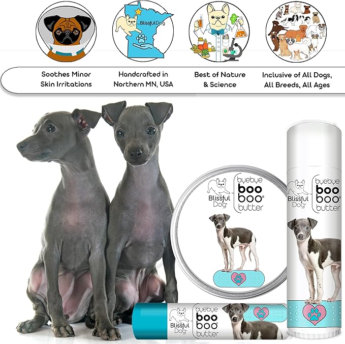 The Blissful Dog Italian Greyhound Boo Boo Butter, 16 oz.
