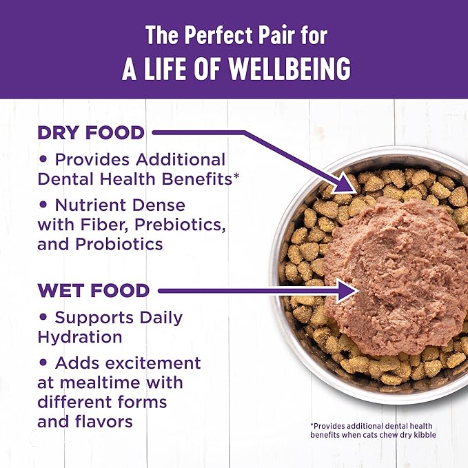 Wellness Complete Health Pate Adult Wet Cat Food, Natural, Protein-Rich, Grain Free, 5.5 Ounce, 24 Pack, (Chicken & Herring)