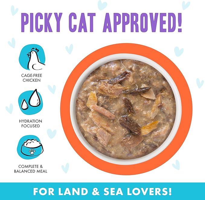 Weruva B.F.F. OMG - Best Feline Friend Oh My Gravy! Grain-Free Wet Cat Food Cans, Crazy 4 U! Chicken & Salmon, 2.8oz Can (Pack of 12)