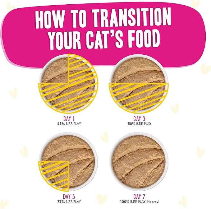 Weruva B.F.F. Play - Best Feline Friend Paté Lovers, Aw Yeah!, Chicken, Duck & Turkey Take a Chance with Chicken, Duck & Turkey, 2.8oz Can (Pack of 12)