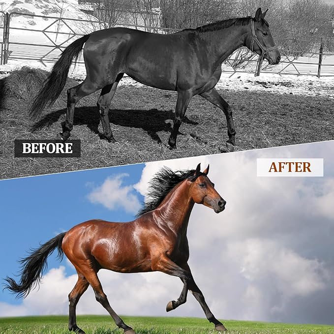 Probiotics for Horses Dietary Supplement, All-Natural Digestive System Maintenance Formula Equine Digestion Support Horse Health Supplements (90 Days)