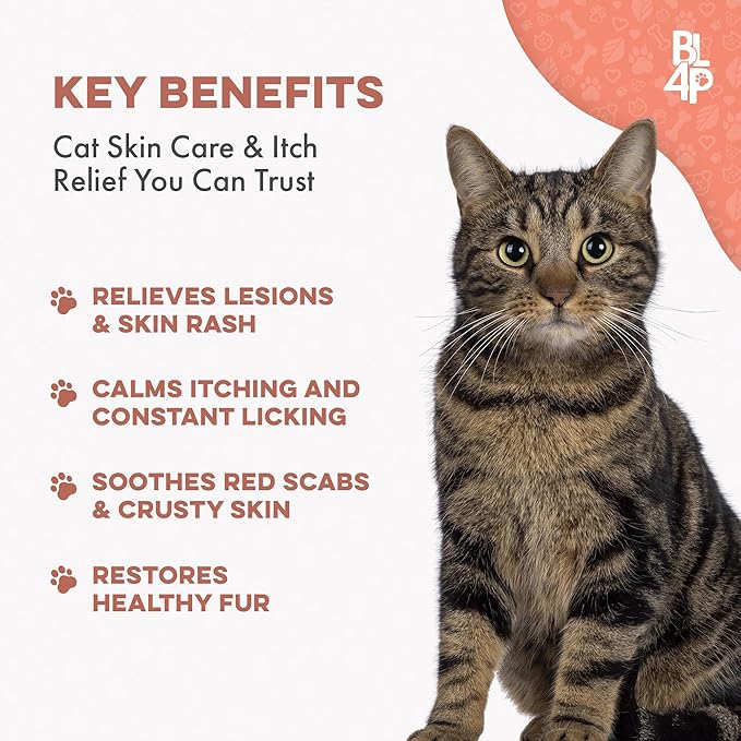 Mange Treatment for Cats, Natural Ear Mite Treatment & Cat Itchy Skin Relief, Helps with Welts, Scabs, Feline Dandruff, Shedding, Excessive Grooming and General Fur and Coat Care, 400 Odorless Pills