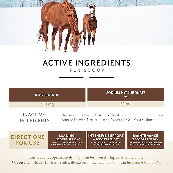 Equithrive Original Joint Supplement Powder with Resveratrol and Hyaluronic Acid for Horses, Equine Care, Molasses Flavor, 2 lbs
