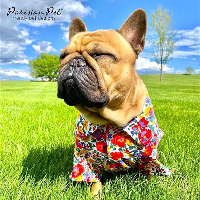 Parisian Pet Dog Shirt - Floral Pattern 100% Cotton Dog Summer Clothes - Stylish Dog Beach Oufit - Hook and Loop Closure Dog Costume - Machine Washable Dog Shirts for Large Dogs - L